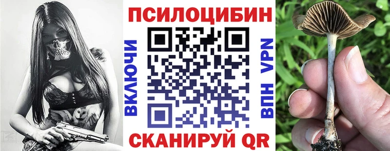 Псилоцибиновые грибы Psilocybe  Ишим 